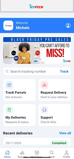 Icypeed Logistics Screenshot 2