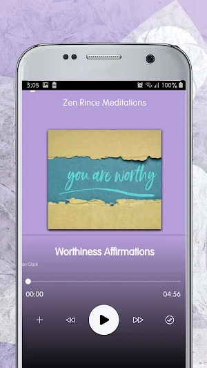 Zen Rince Screenshot 3