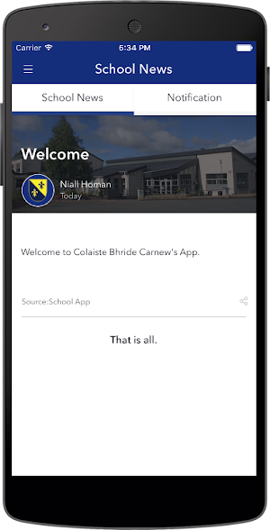 Colaiste Bhride Carnew Screenshot 1