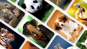 Animal Wallpaper 2023 Screenshot 0