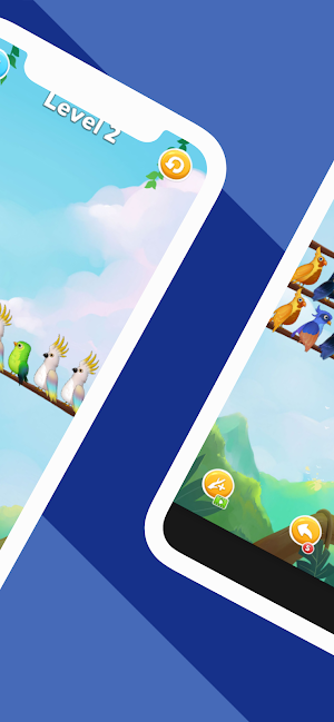 Sort the Birds Screenshot 1