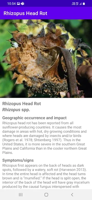 SDIC - Sunflower Diseases Screenshot 3