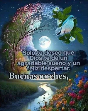 Frases de Buenas Noches Screenshot 1