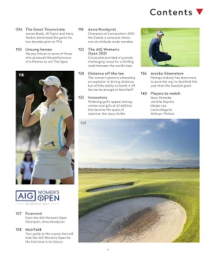 Champion Golfer Screenshot 2