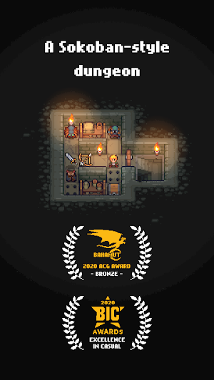 Dungeon and Puzzles - Sokoban Screenshot 0