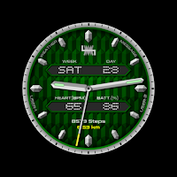 LMwatch Forest hybrid