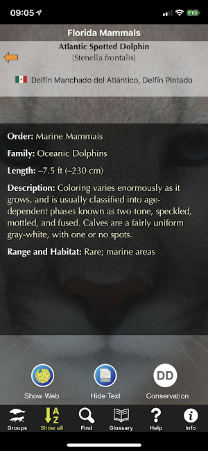 Florida Mammals Screenshot 1