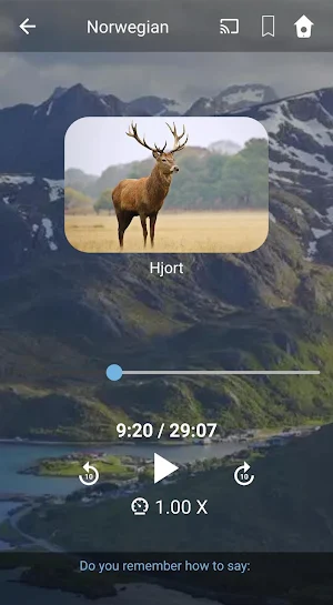 Learn Norwegian. Speak Norwegian. Study Norwegian. Screenshot 2