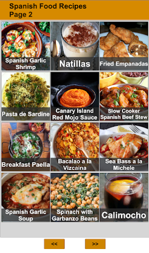 Spanish Food : Offline Recipes Screenshot 1