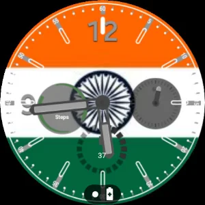 नई दिल्ली फ्लैग वॉचफेस Screenshot 1