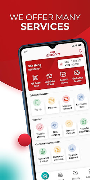 eMoney Agent Screenshot 0