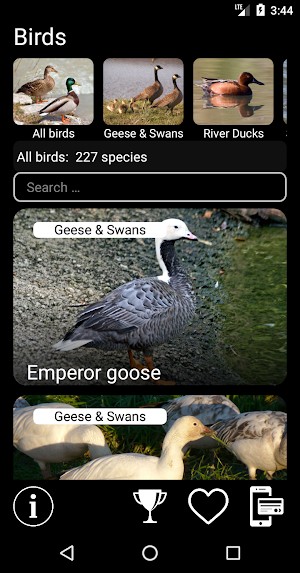 Birds of North America: Songs, Calls & Decoys Screenshot 0