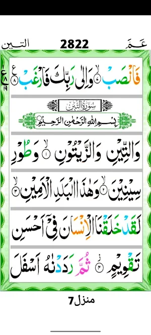 Surah Teen Screenshot 2