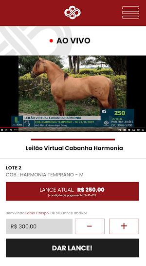 Parceria Leilões Screenshot 2