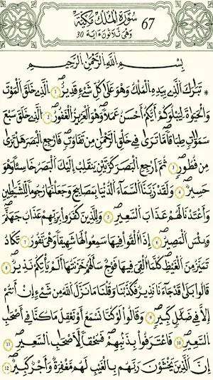 القرآن الكريم - برواية قالون Screenshot 0