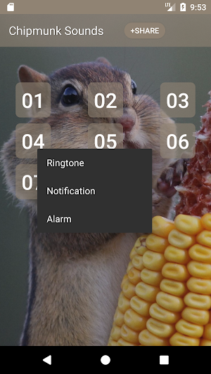 Chipmunk (Animal) Sounds Screenshot 1