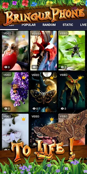 moth wallpaper Screenshot 1