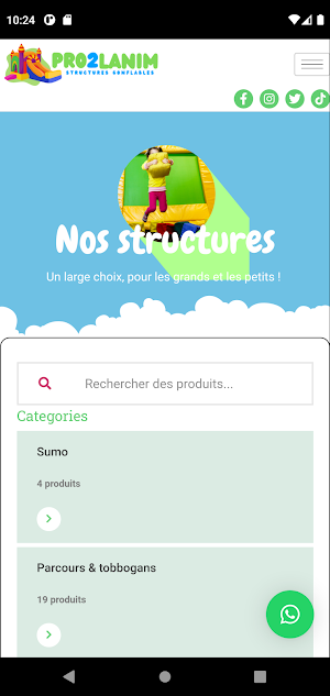 Pro2lanim Screenshot 1