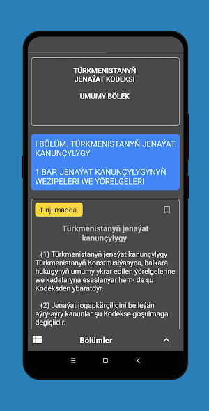 Türkmenistanyň Jenaýat kodeksi Screenshot 0