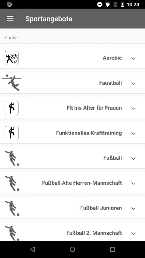 ASV Veitsbronn-Siegelsdorf Screenshot 2