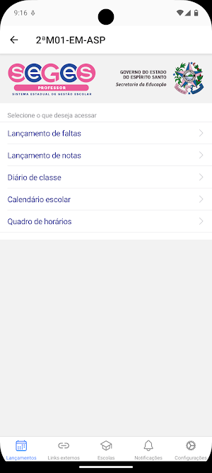 SEGES Professor Screenshot 0