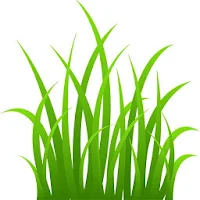 My Fertilizing App