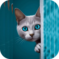 Cat Wallpapers