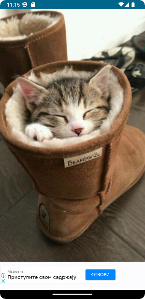 Random Cute Cat Screenshot 0