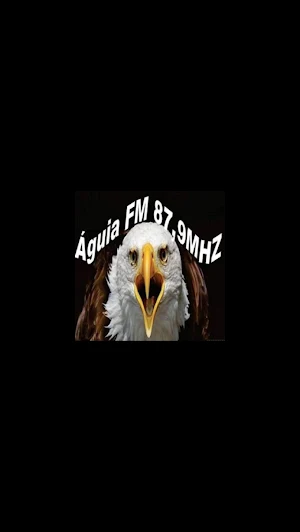 Rádio Águia FM 87,9 MHZ Screenshot 3