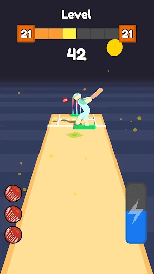 Cricket Bowling Screenshot 1
