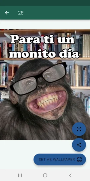 Imágenes graciosas con frases Screenshot 0