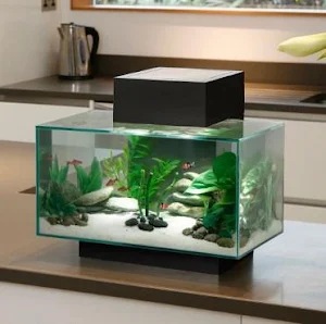 Aquarium Design Screenshot 1