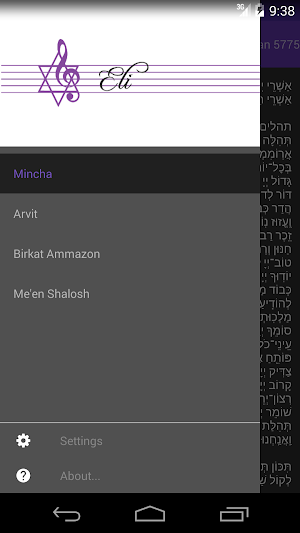 Eli's Bar Mitzvah Screenshot 1