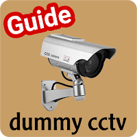 dummy cctv guide