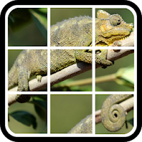 Sliding logic Puzzle: Animals