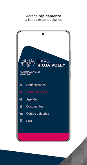 Haro Rioja Voley Screenshot 2