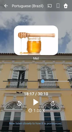 Learn Brazilian Portuguese. Speak Portuguese. Screenshot 0