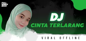 Lagu Dj Remix Cinta Terlarang Screenshot 0
