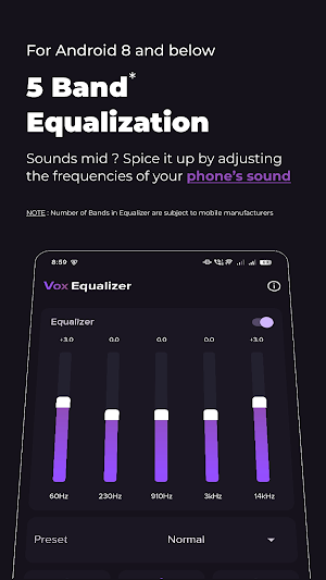 Vox Equalizer - Bass Booster Screenshot 0