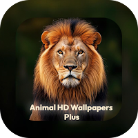 Animal HD Wallpapers Plus