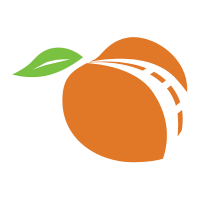 Peach Pass GO!