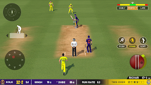 Indian Cricket League 25 Screenshot 1