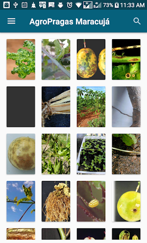 AgroPragas Maracujá Screenshot 1
