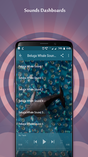 Beluga Whale Sounds Screenshot 3