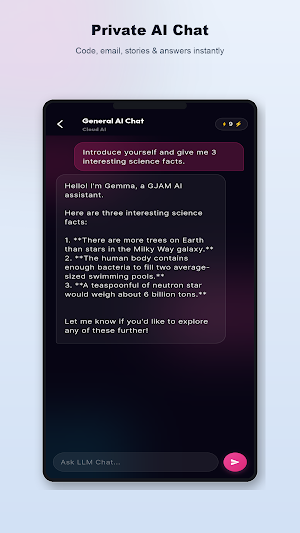 Local LLM Private AI Chat Screenshot 1