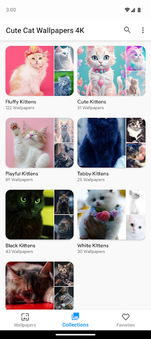 Cute Kittens Wallpapers 4K Screenshot 3