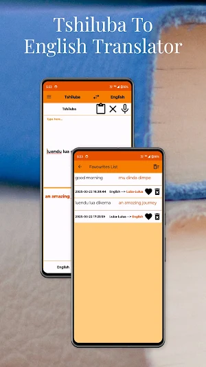 Tshiluba To English Translator Screenshot 2