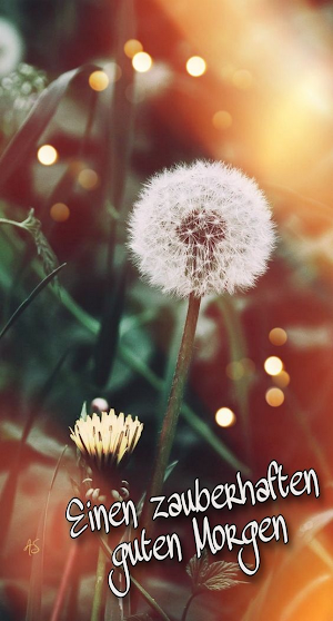 Guten Morgen Bilder Screenshot 2