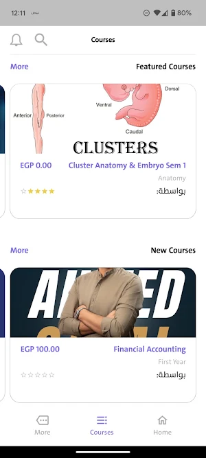 Learnify Screenshot 2