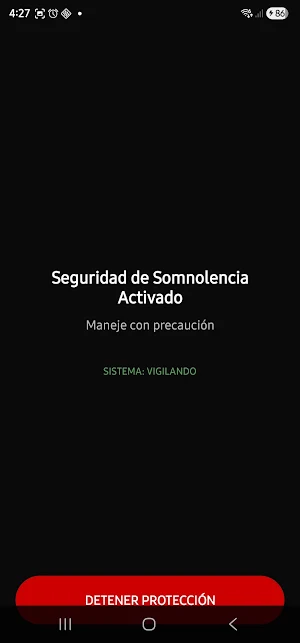 Seguridad Initre Screenshot 1